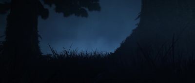 (DRAGON CALLS IN DISTANCE) - How to Train Your Dragon: The Hidden World