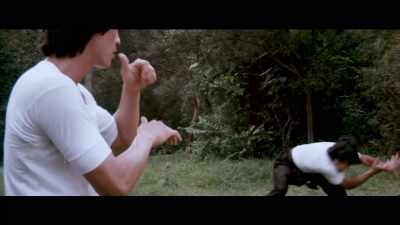 Dragon Lee,
who was this Bruce Lee - Enter the Clones of Bruce