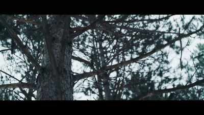 (dramatic booming music) - Battle of the Bulge: Winter War