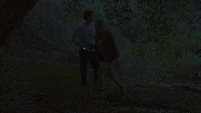 (dramatic music)
(leaves rustling) - Wolf Mountain