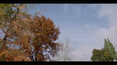 ♪ (DRAMATIC MUSIC PLAYING) ♪ - I'll Be Gone in the Dark