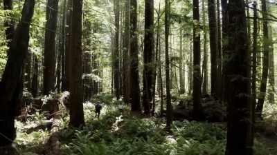 [dramatic music playing] - Expedition Bigfoot