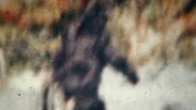 [dramatic music playing] - Expedition Bigfoot