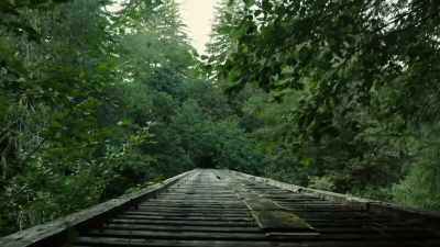 [dramatic music playing] - Expedition Bigfoot