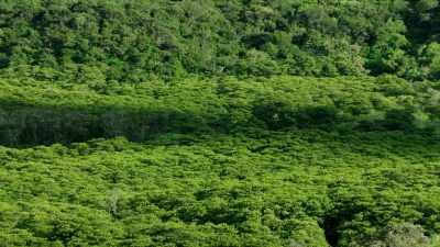 [ Dramatic music plays ] - When Nature Calls with Helen Mirren