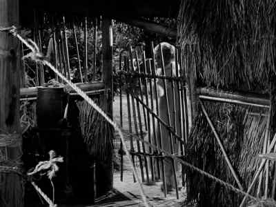 [dramatic music] - Gilligan's Island