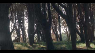 [DRAMATIC MUSIC] - Mystic