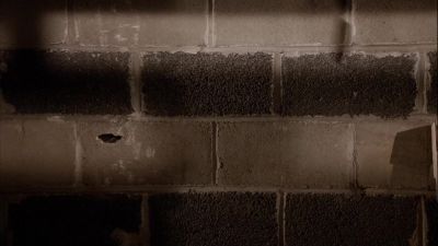 [dramatic music] - One Tree Hill