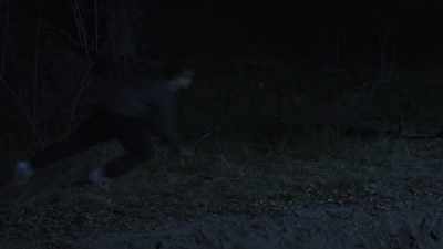 (dramatic music) - Wolf Mountain