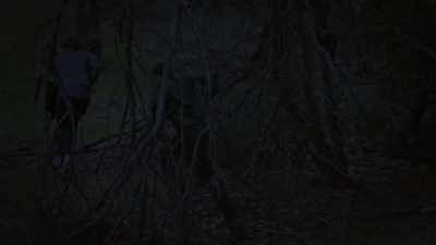 (dramatic music) - Wolf Mountain