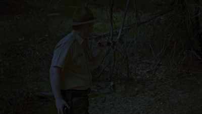 (dramatic music) - Wolf Mountain
