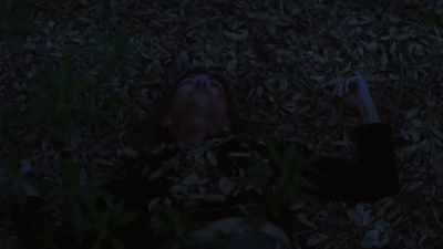 (dramatic music) - Wolf Mountain