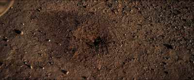 [dramatic music] - Dead Ant
