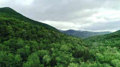 [dramatic music] - The Disappearance of Maura Murray