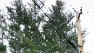 [dramatic music] - The Disappearance of Maura Murray
