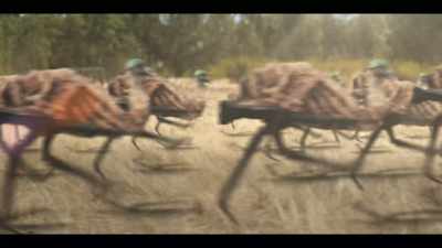 (dramatic music)
(soldiers yelling) - The Emu War
