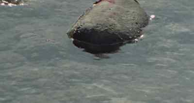 (dramatic music) (water purling) - Sweet Sweetback's Baadasssss Song