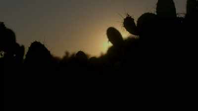 - [dramatic sting]
- [crickets chirping] - Twin Love