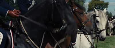 Draw... swords! - War Horse