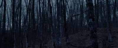 Drawn to the heart
and lip - Pyewacket