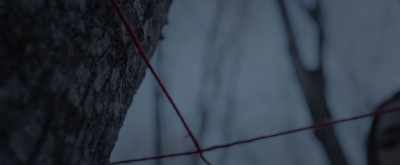 Drawn to the heart and hip - Pyewacket