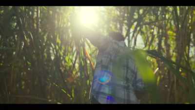 (dreamlike music) - Black Snow