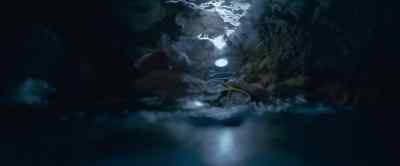 Drew! Drew!
Drew! - The Dive