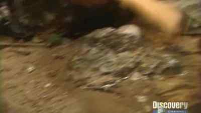 Drinking water is one thing
positive this stream. - Man vs. Wild