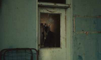 ...driving the cattle
through the goddamn fence. - The Last Thing He Wanted