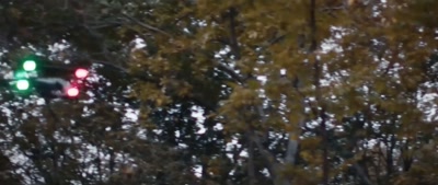 (drone buzzing) - Deep Woods