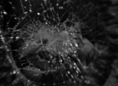 Drop that bottle top - A Streetcar Named Desire