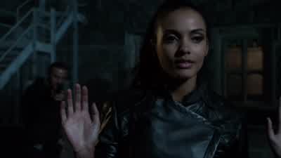Drop it. - Gotham