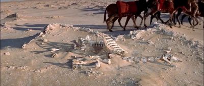 Dropped out of a salt caravan - Legend of the Lost