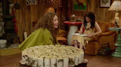 Drying flowers is a very
complicated process. - At Home with Amy Sedaris
