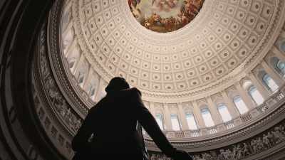 D'SOUZA:
We've seen gun control - Trump Card