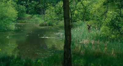 - Duck! Duck, duck!
- (ducks quacking) - Dolittle