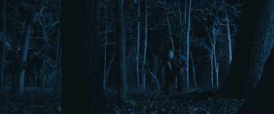 Dude, dude, there's a
killer in the forest! - Final Summer