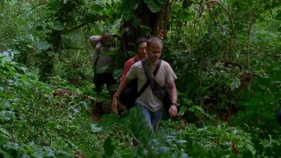 Dude, seriously,
I'm gonna have a coronary. - Lost