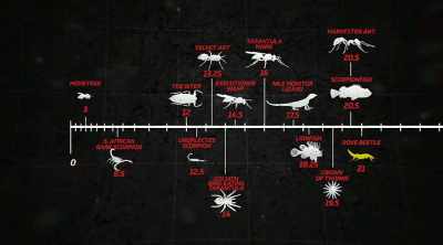Dude, that is ridiculous
for such tiny beetle. - Kings of Pain