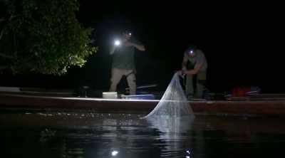 - Dude, where'd you learn how
to cast a net, Cub Scouts? - Kings of Pain