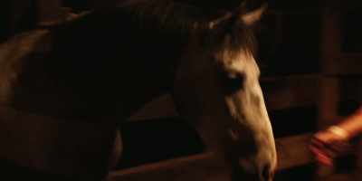 [Dudley] Mr. Olson!
      Come out of the barn - The Death of Dick Long