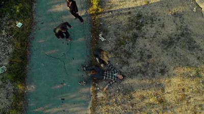- Duke, are you okay? - Haven