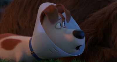 Duke I finally caught you tail - The Secret Life of Pets 2
