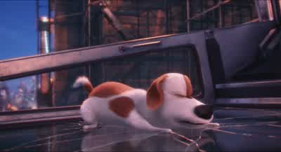 Duke! Max? Max! - Oh, get the keys! - Right! - Hurry! - Ha! - The Secret Life of Pets
