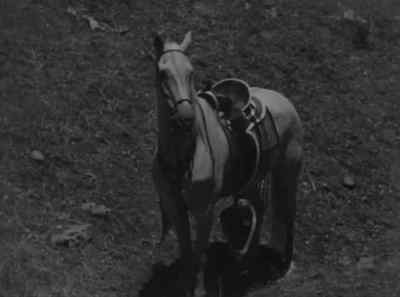 Duke! - The Big Stampede