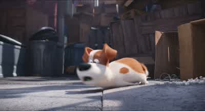 Duke? You came back? Run! - The Secret Life of Pets