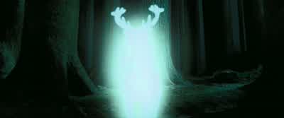Dumbledore obviously wanted us to return to this moment. - Harry Potter and the Prisoner of Azkaban