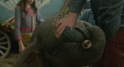 Dumbo, you mind? - Dumbo