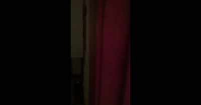 During
our investigations, - The House in Between