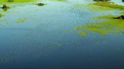 During peak flood, - Surviving Paradise: A Family Tale